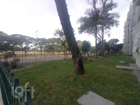 Image 13 - 252883